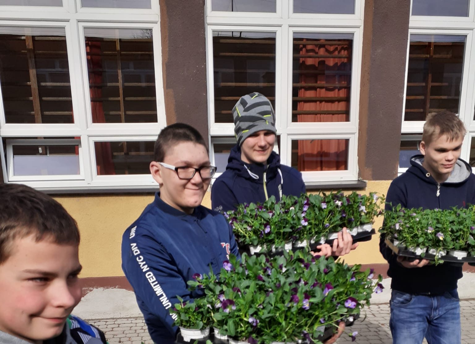 Kwiatki za elektrograty