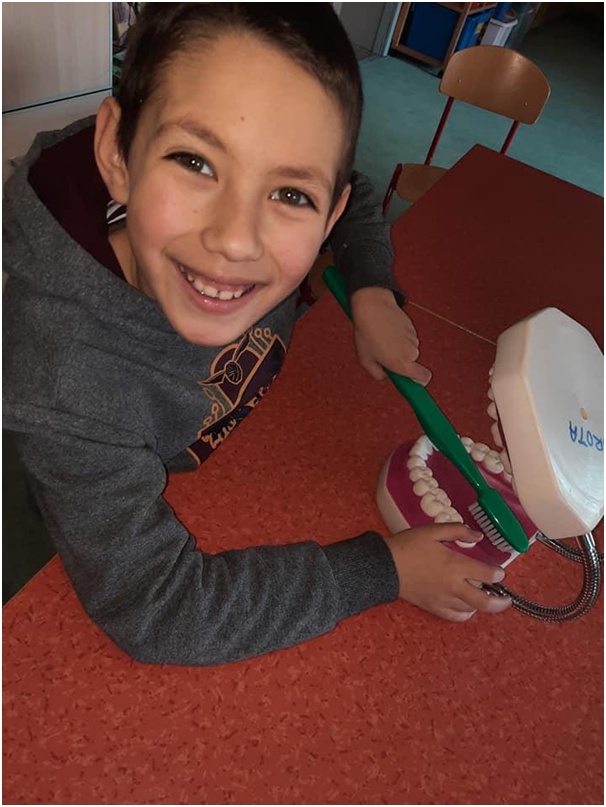 Przedszklak uczy się czyścić zbęby