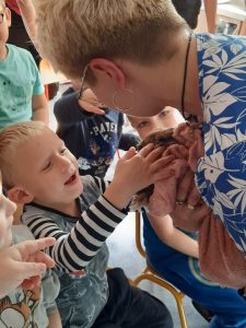 Światowy Dzień Królika