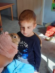 Światowy Dzień Królika