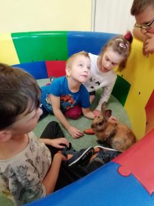 Światowy Dzień Królika