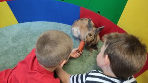 Światowy Dzień Królika