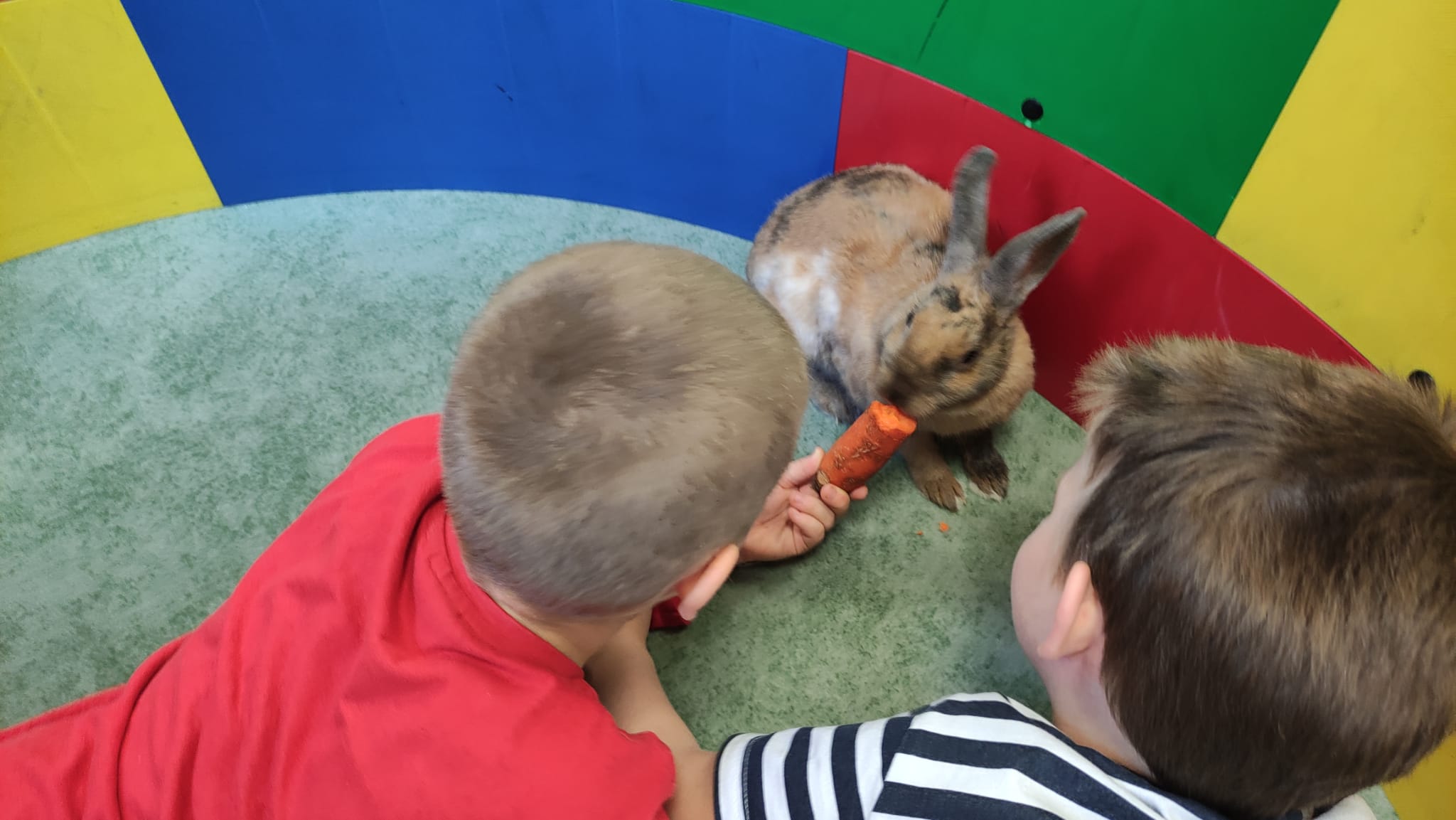 Światowy Dzień Królka