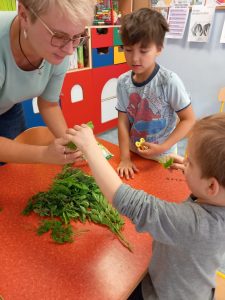 Projekt Dookoła Polski