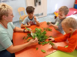 Projekt Dookoła Polski