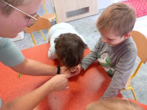 Projekt Dookoła Polski