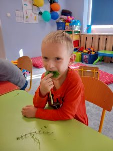 Projekt Dookoła Polski