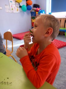 Projekt Dookoła Polski