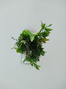 Projekt Dookoła Polski