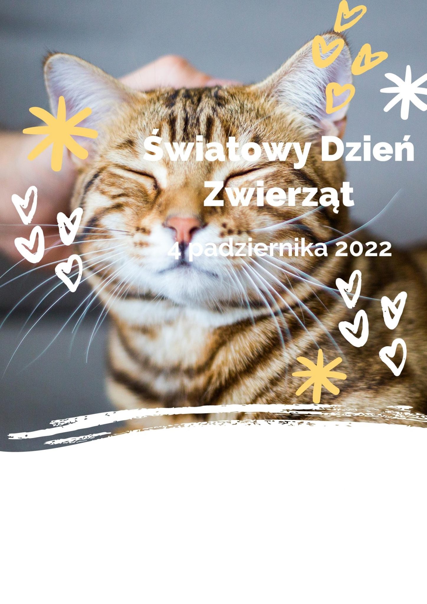 Światpwy Dzień Zwierząt