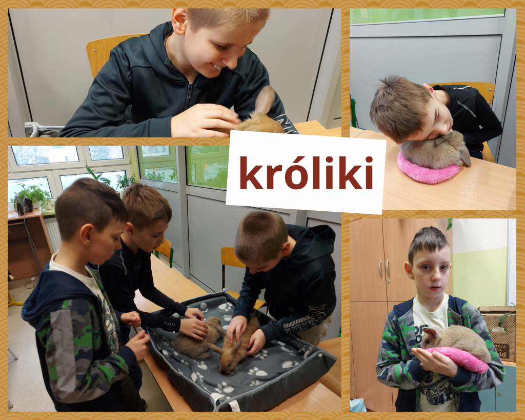 króliki na zajęciach hortiterapii