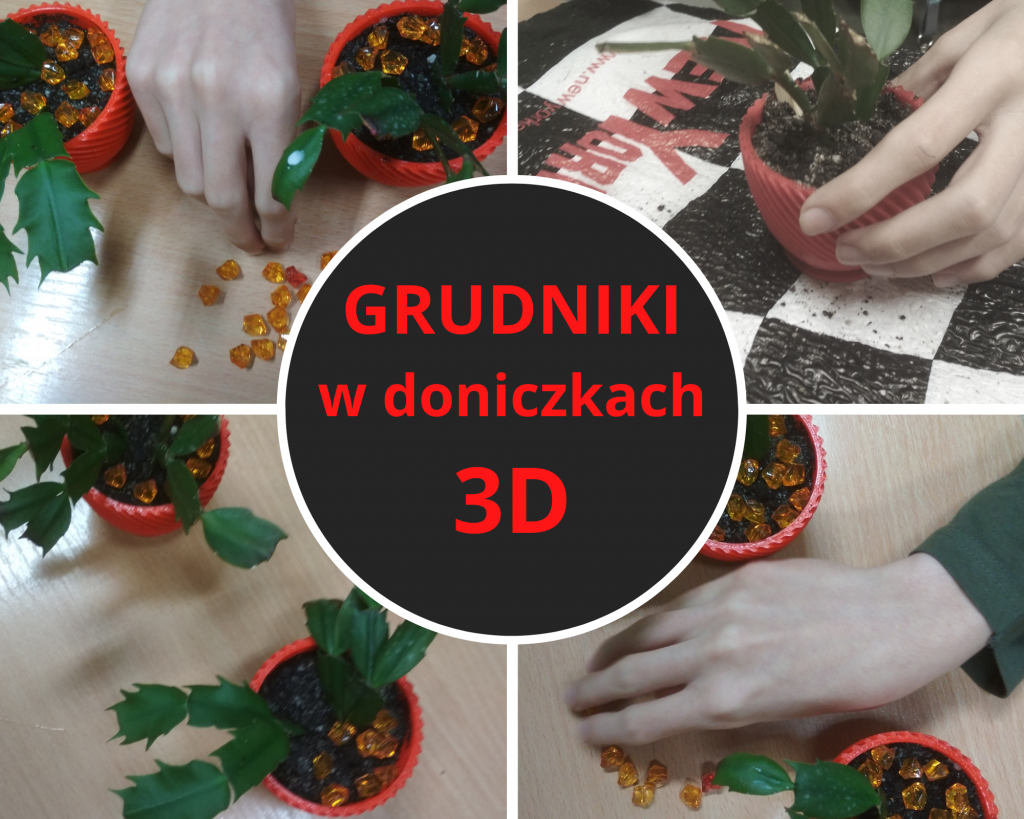 uczniowie sadzą grudniki w doniczkach z drukarki 3D