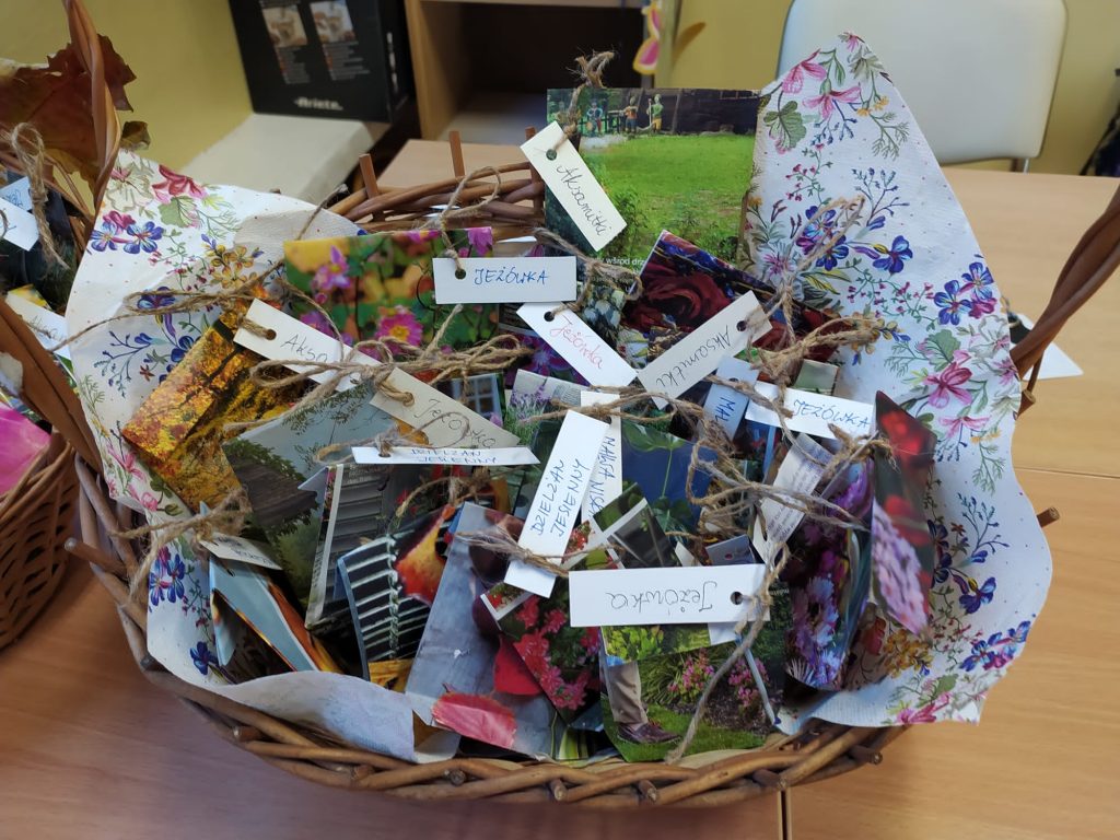 kosz pełen torebek z nasionami