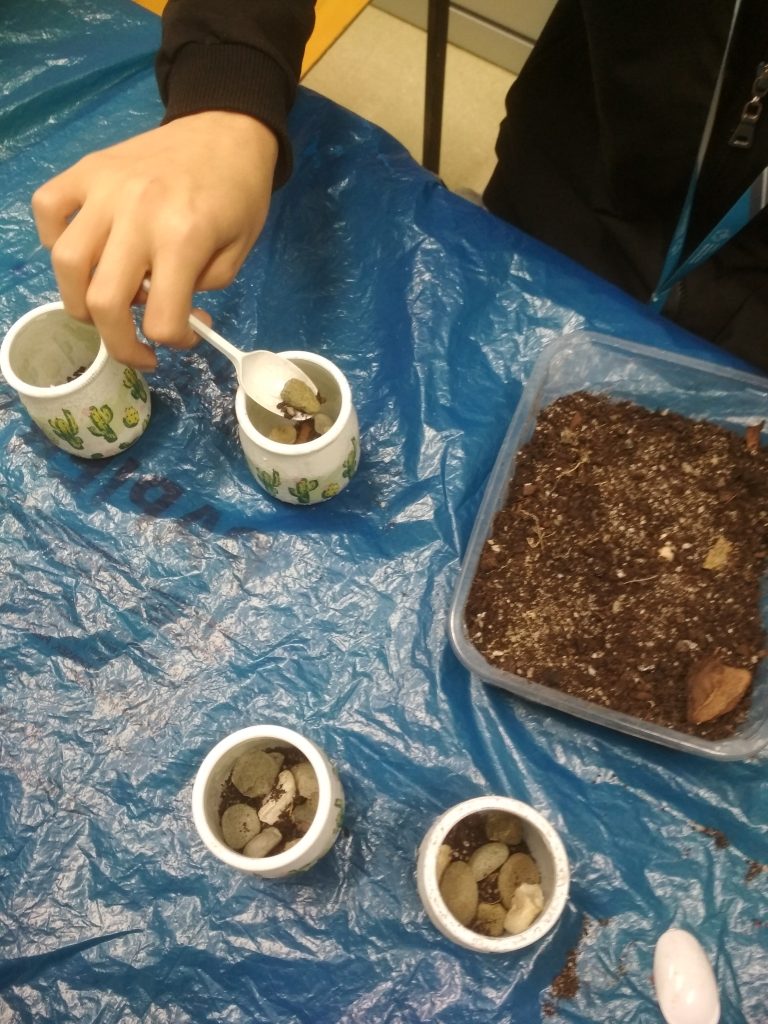 sadzenie kaktusa w słoiczku