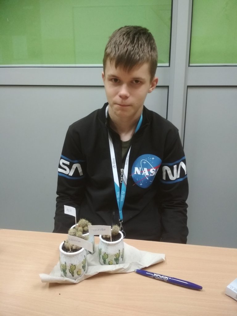 kolekcja kaktusów w słoiczkach