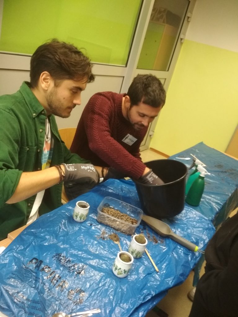 goście z zagranicy na zajęciach hortiterapii