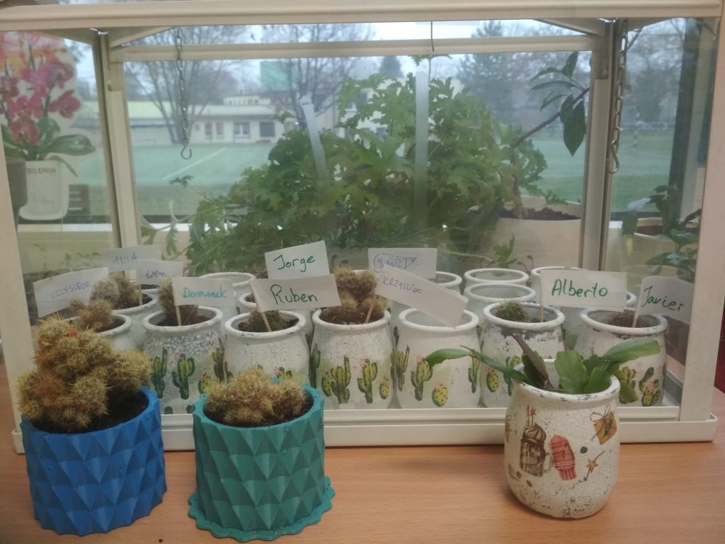 międzynarodowa kolekcja kaktusów w mini szklarni
