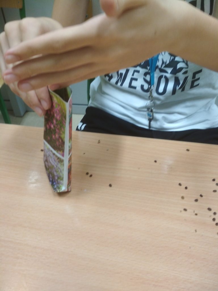 uczeń wsypuje nasiona do torebki papierowej