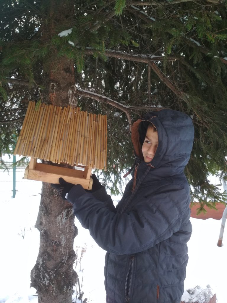 uczeń zawiesza karmnik
