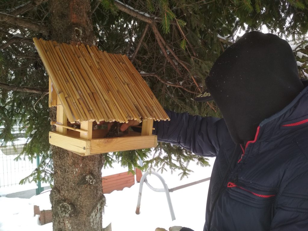 uczeń wsypuje ziarna słonecznika do karmnika