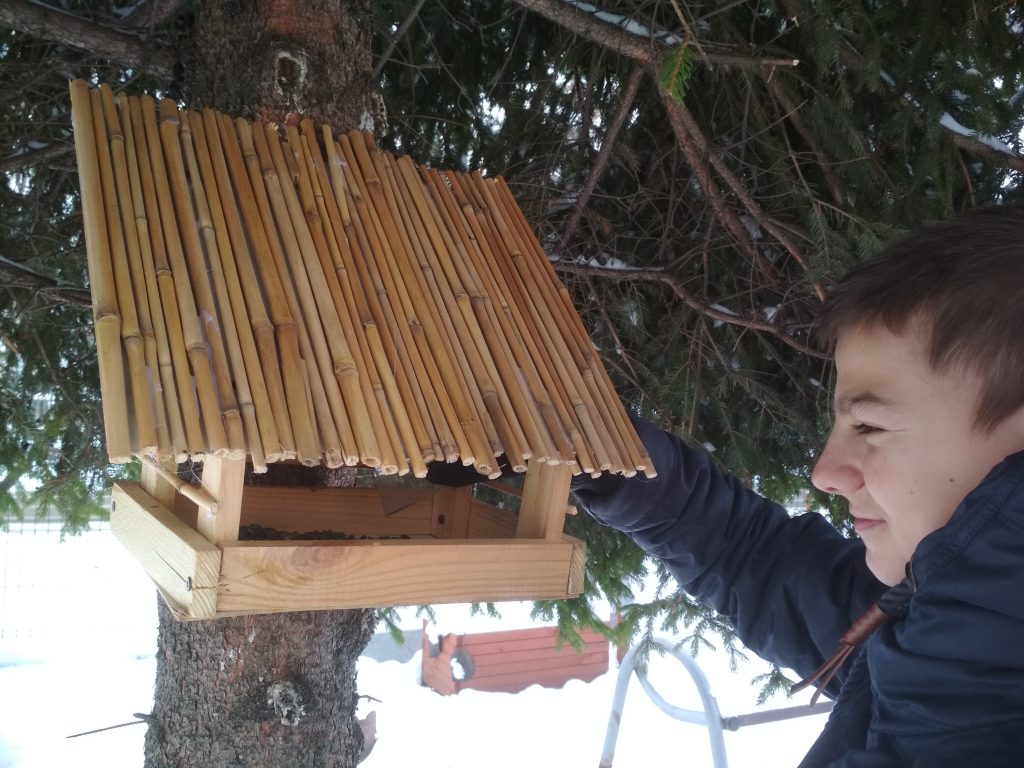 uczeń wsypuje ziarna słonecznika do karmnika