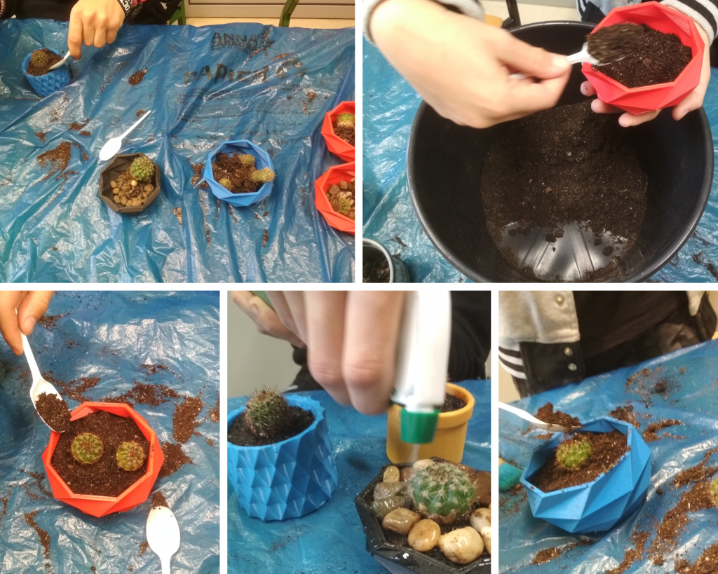 dzieci sadzą kaktusy