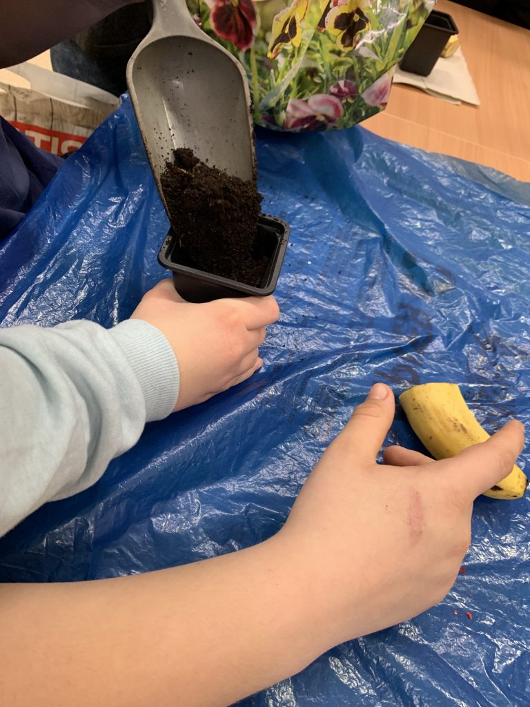 bananowy eksperyment