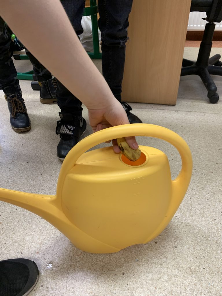 jak zrobić bananowy nawóz