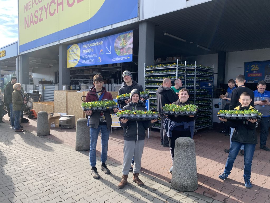 kwiaty za elektrograty