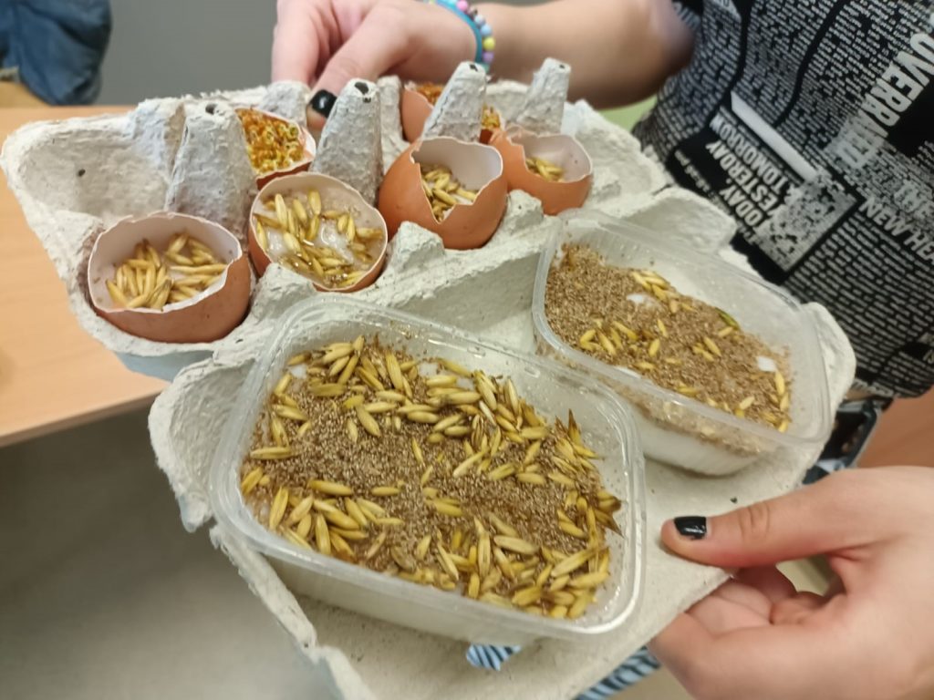 uczniowie przygotowują wielkanocne dekoracje