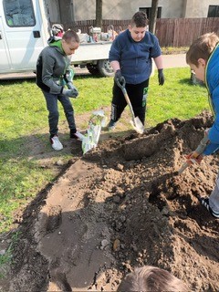 uczniowie pracują na grządkach