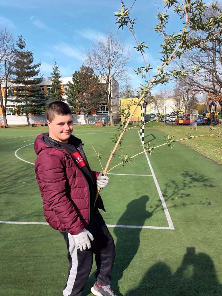 uczniowie pracują w szkolnym ogrodzie