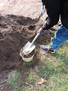 uczniowie pracują na grządkach
