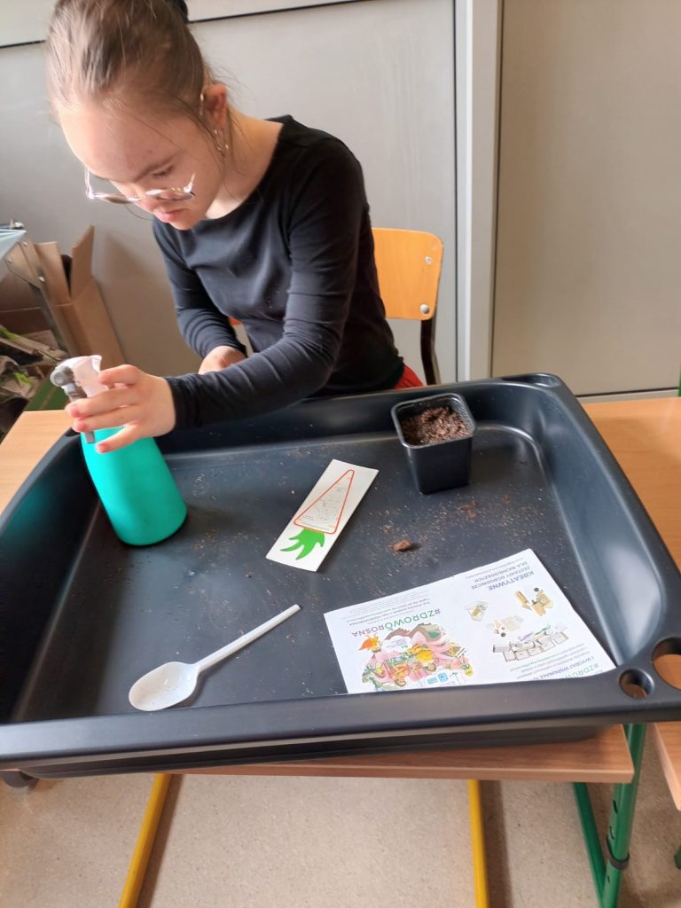 uczennica sieje pietruszkę i koper