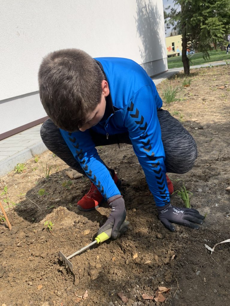 uczniowie sadzą nowe rośliny