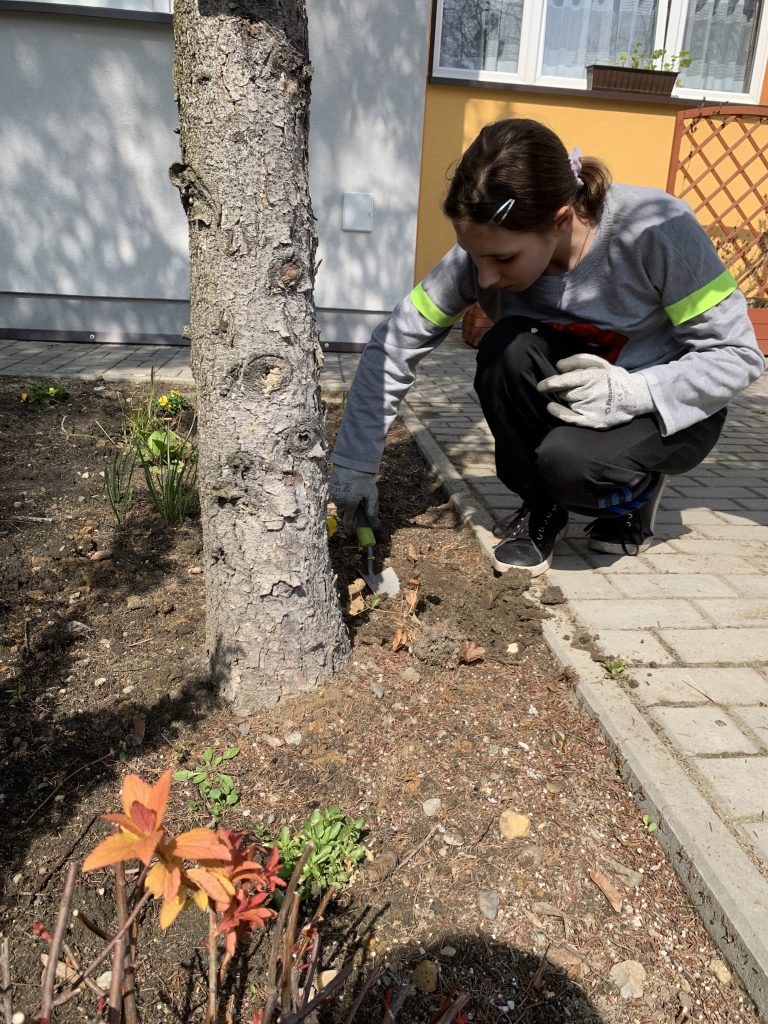 uczniowie sadzą nowe rośliny