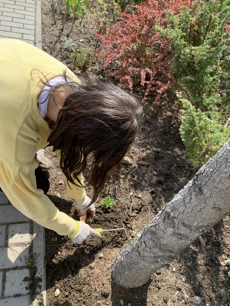 uczniowie sadzą nowe rośliny