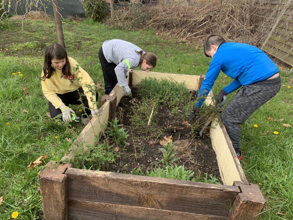 uczniowie pracują na szkolnych grządkach