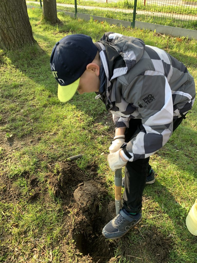 uczniowie pracują w szkolnym ogrodzie