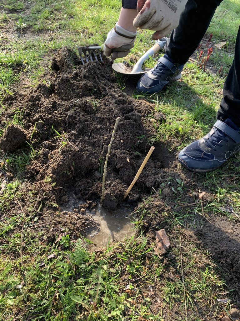 uczniowie pracują w szkolnym ogrodzie