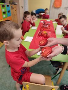 Chłopiec oglądający pomidor