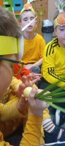 Chłopiec ogląda cebulkę