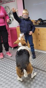 Chłopczyk aportuje pieska