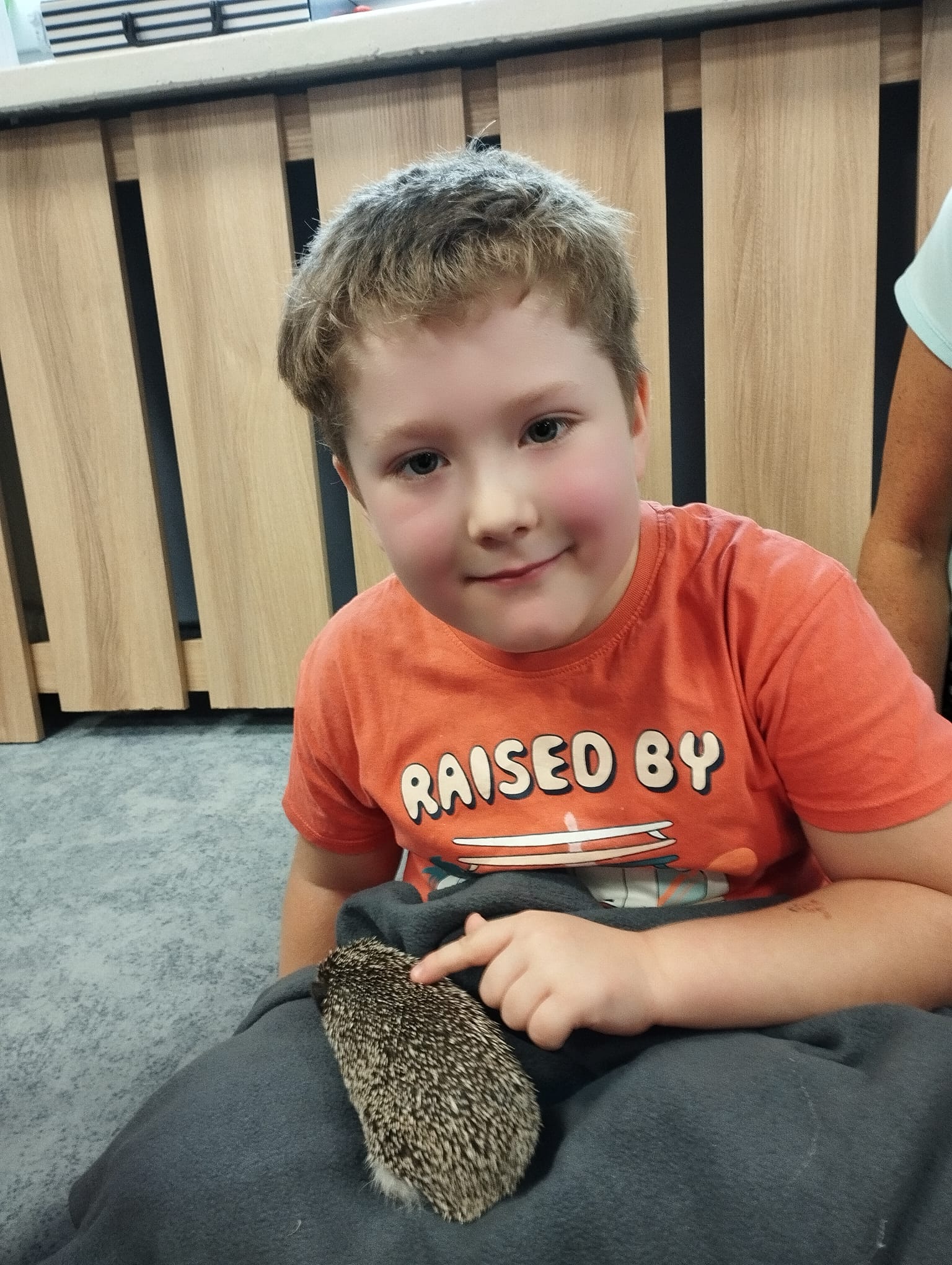 Chłopczyk głaszcze jeża