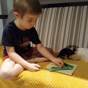 chłopiec układa patyczki