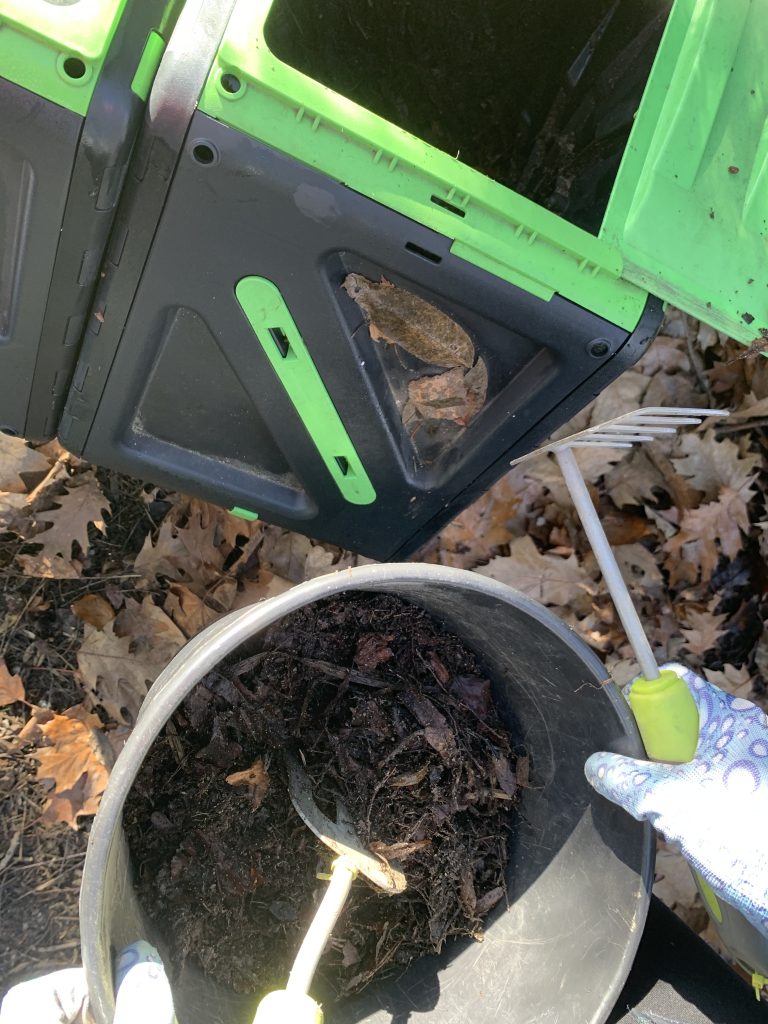 pierwsze prace w szkolnym ogrodzie