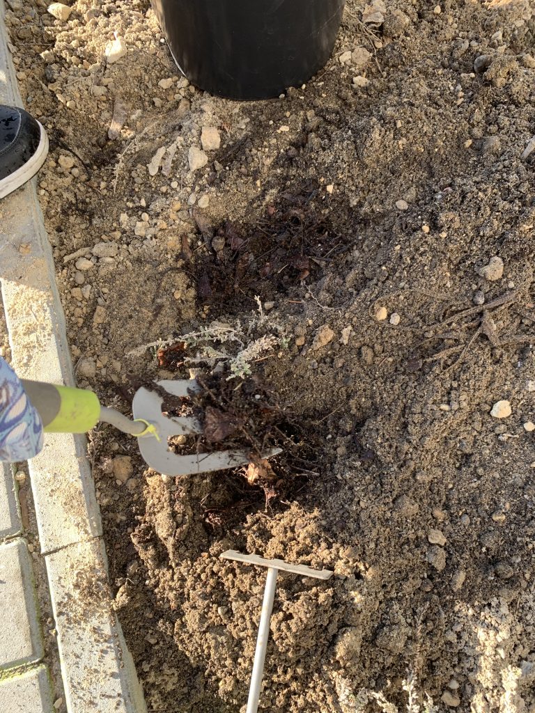 pierwsze prace w szkolnym ogrodzie