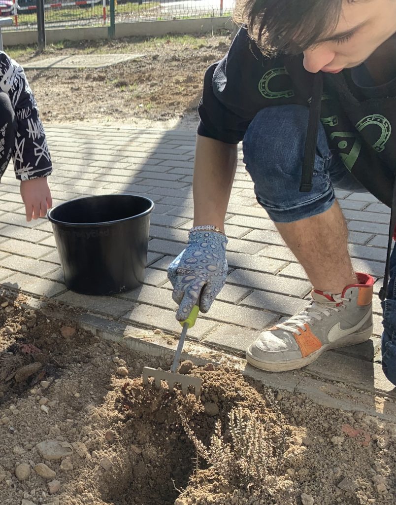 pierwsze prace w szkolnym ogrodzie