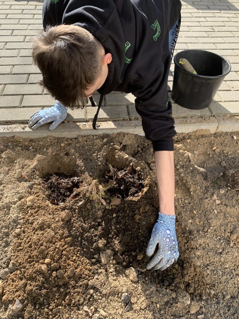 pierwsze prace w szkolnym ogrodzie