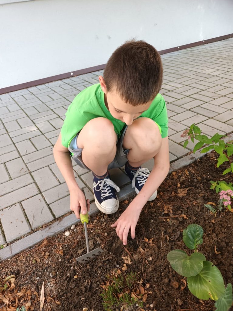 uczniowie pracują w szkolnym wiosennym ogrodzie